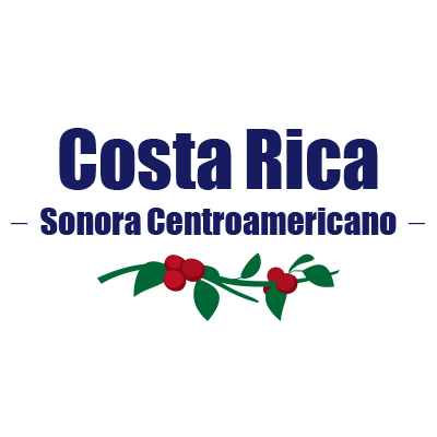 코스타리카 소노라 센트로아메리카노