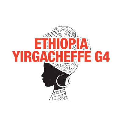 에티오피아 예가체프 G4